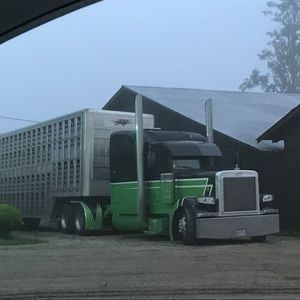 Peterbilt